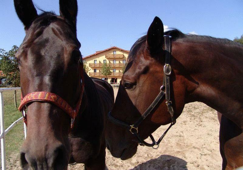 Hotel Panska Licha 12