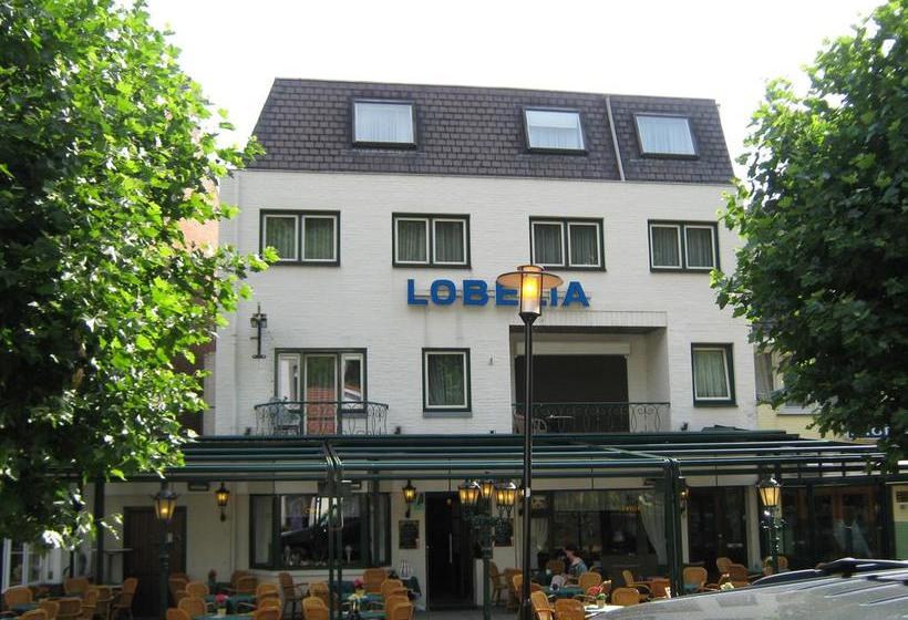 Hotel Lobelia 7