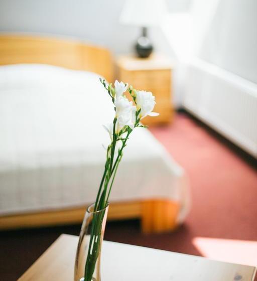 Hotel Kuldigas Metropole 17