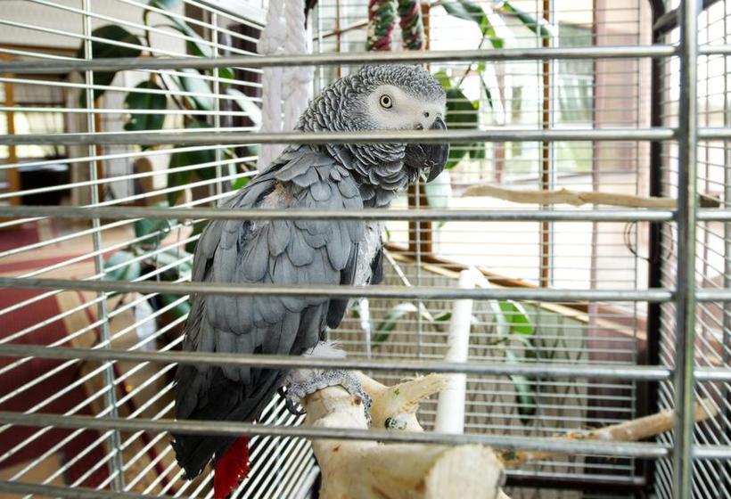 Hôtel Villa Müllerbeck 17