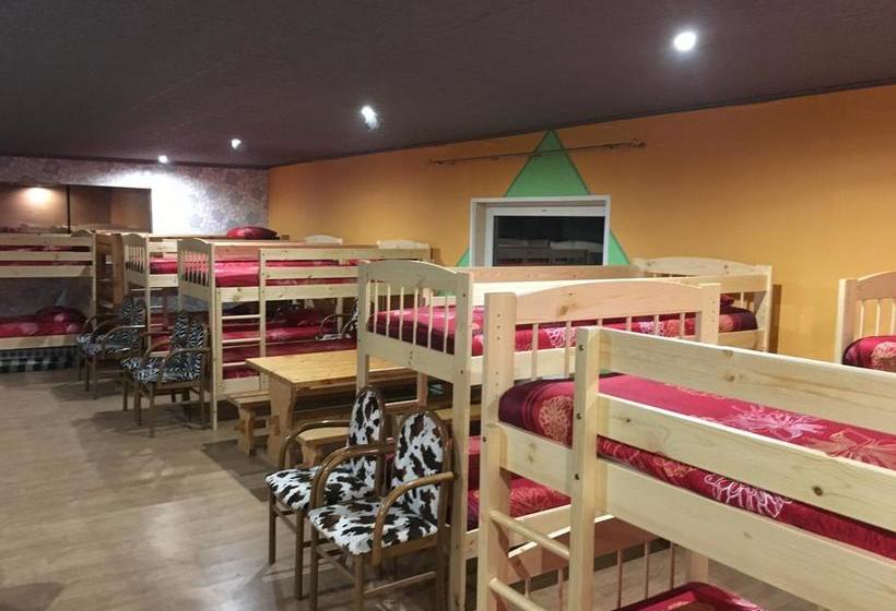 Tolli Hostel & Holiday House 11