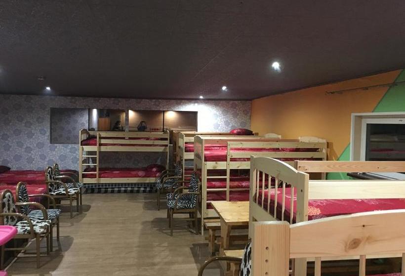 Tolli Hostel & Holiday House 12