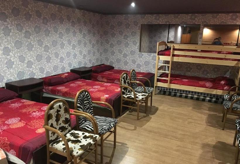 Tolli Hostel & Holiday House 14