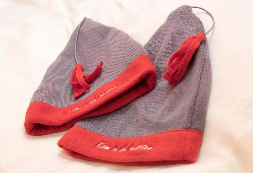 Hôtel Accommodatie Kom In De Bedstee