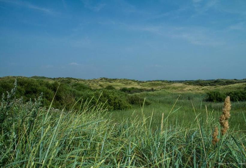 Bed and Breakfast Bbb Haarlem 16