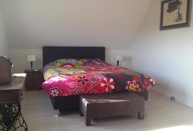 Bed and Breakfast Geranio 7