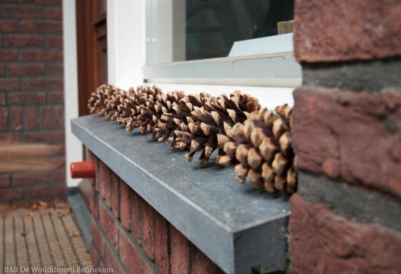 De Wouddroom Bed And Breakfast 12