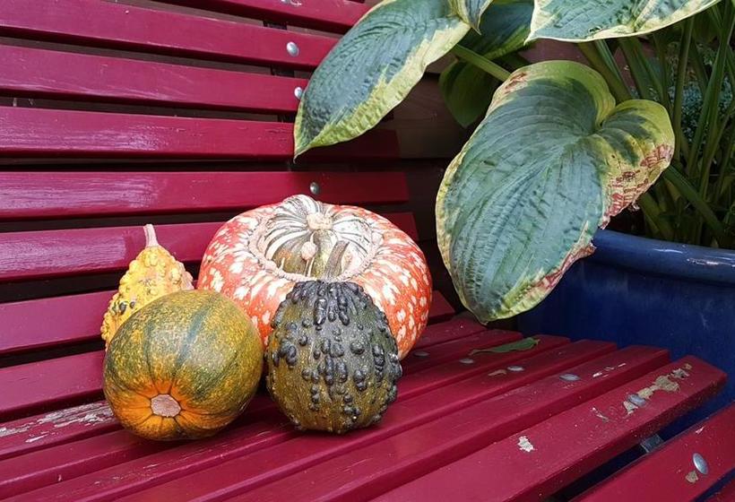 B&b De Valendries 12