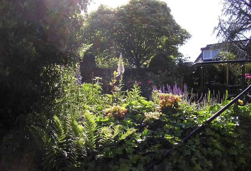 Walnut Lodge Bed & Breakfast 11