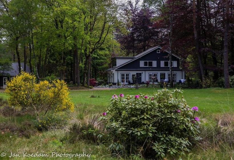 B&b Viva La Veluwe