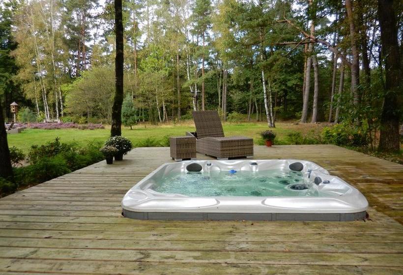 B&b Viva La Veluwe 1