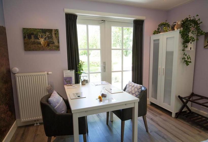 B&b Viva La Veluwe 11