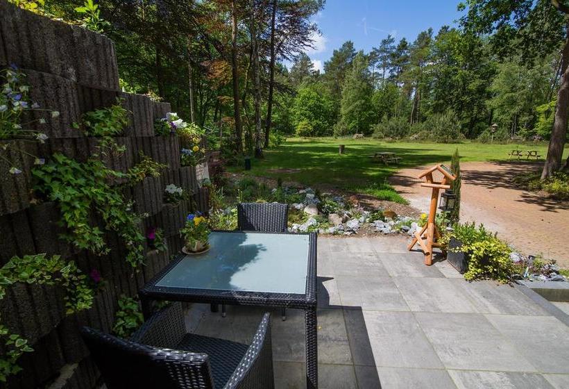 B&b Viva La Veluwe 14