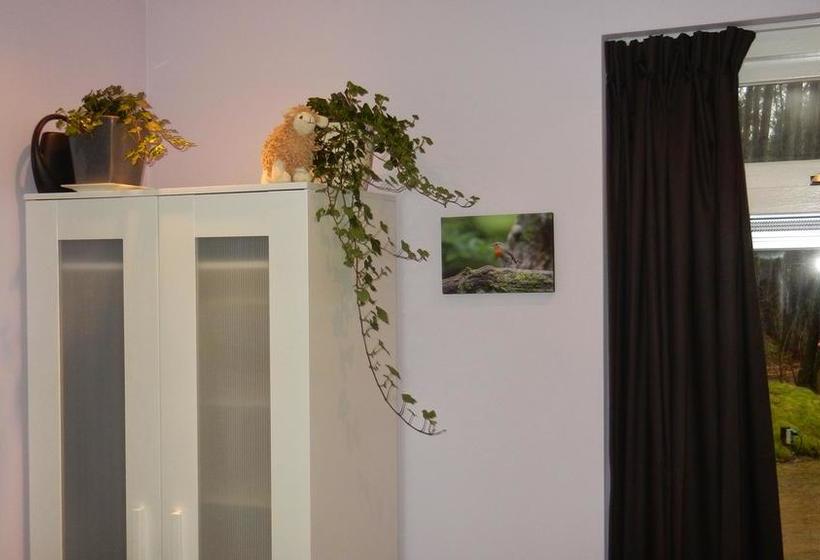 B&b Viva La Veluwe 17