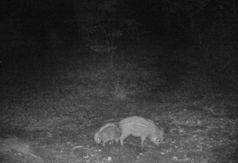 B&b Viva La Veluwe 18