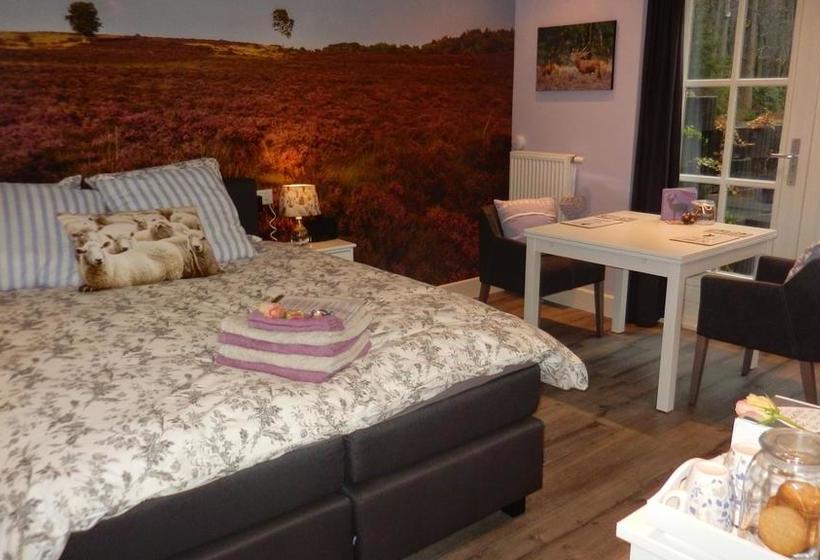 B&b Viva La Veluwe 19