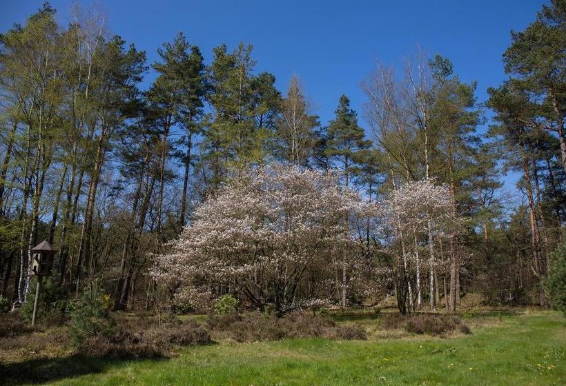 B&b Viva La Veluwe 5