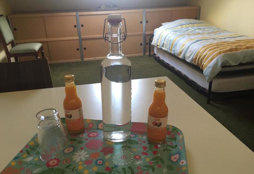 Bed and Breakfast Home Stay Utrecht 13