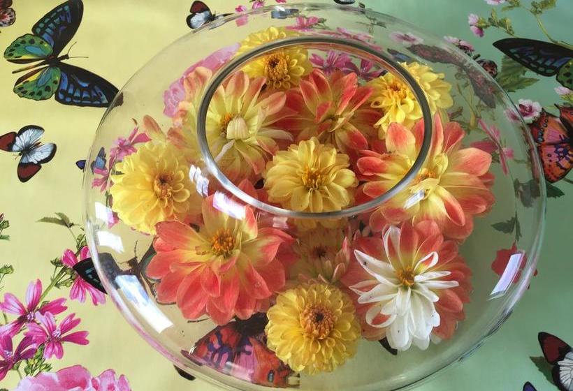 Bed and Breakfast Home Stay Utrecht 6