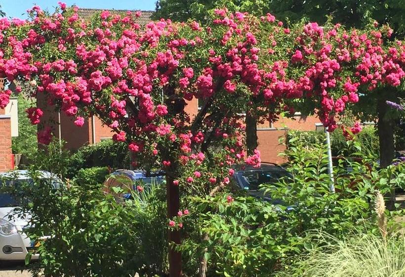 Bed and Breakfast Home Stay Utrecht 8