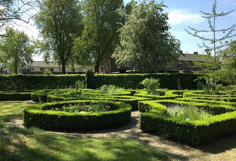 Bed and Breakfast T Shanda Lee 13