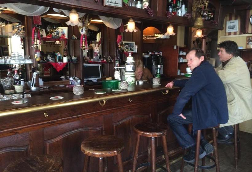 Hotel De Blauwe Vogel 13