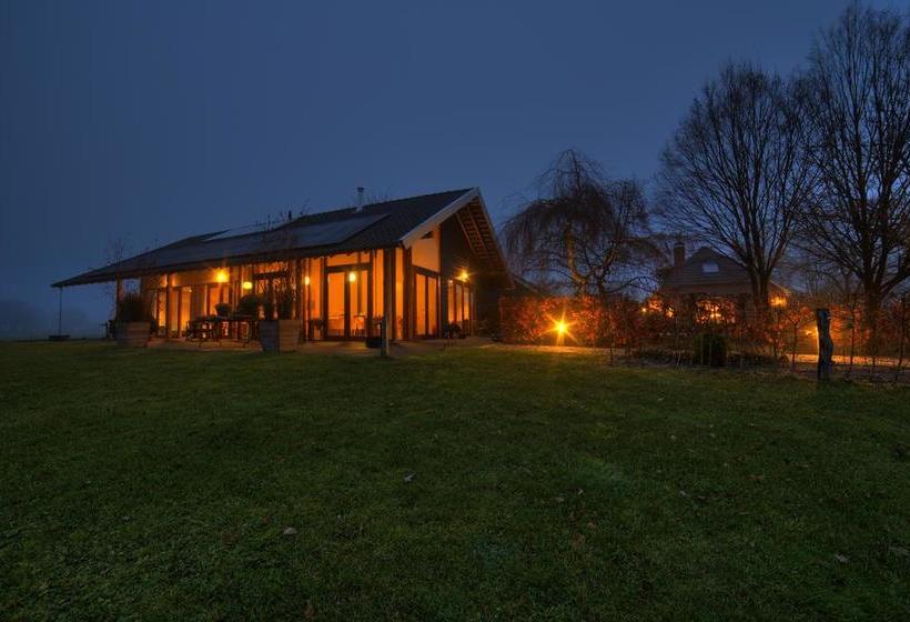 Bed & Breakfast De Wandhorst