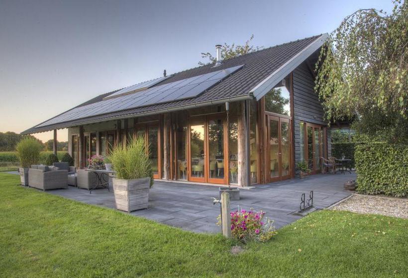 Bed & Breakfast De Wandhorst 1