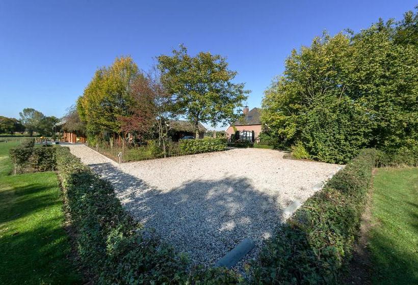 Bed & Breakfast De Wandhorst 10