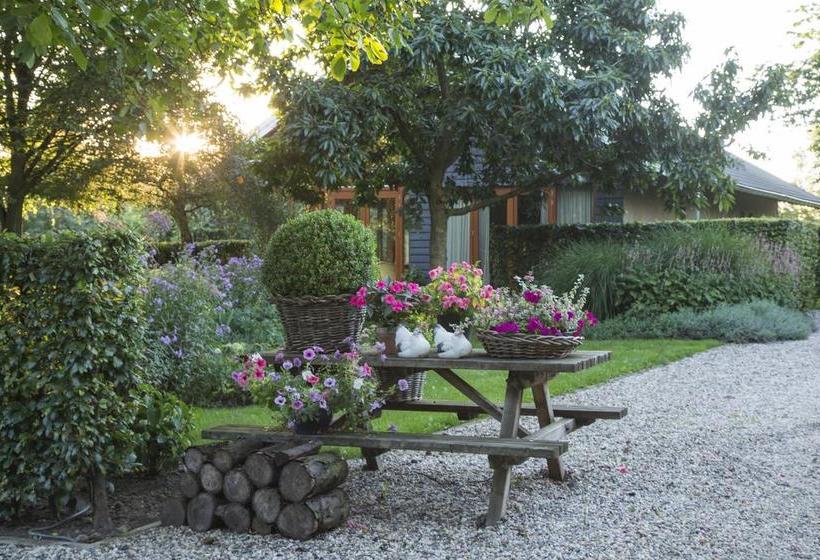 Bed & Breakfast De Wandhorst 11