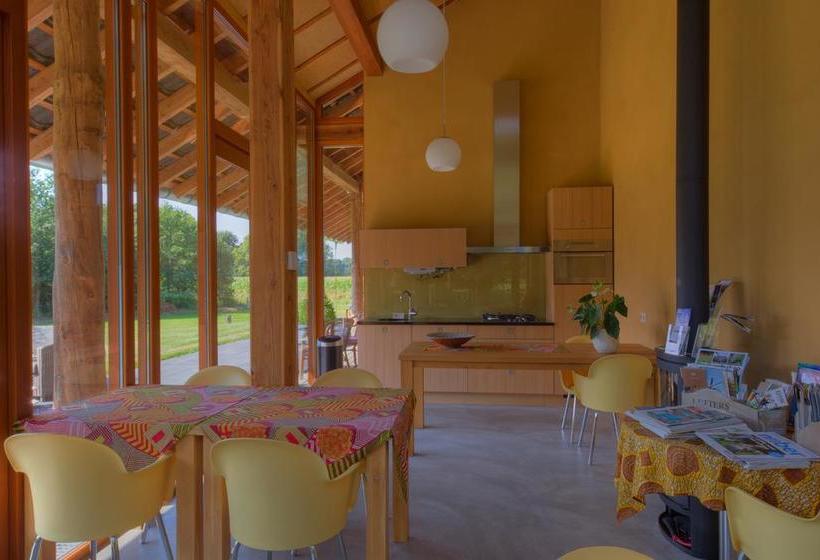 Bed & Breakfast De Wandhorst 18