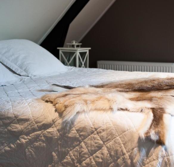 Bed and Breakfast Koetshuis34 20