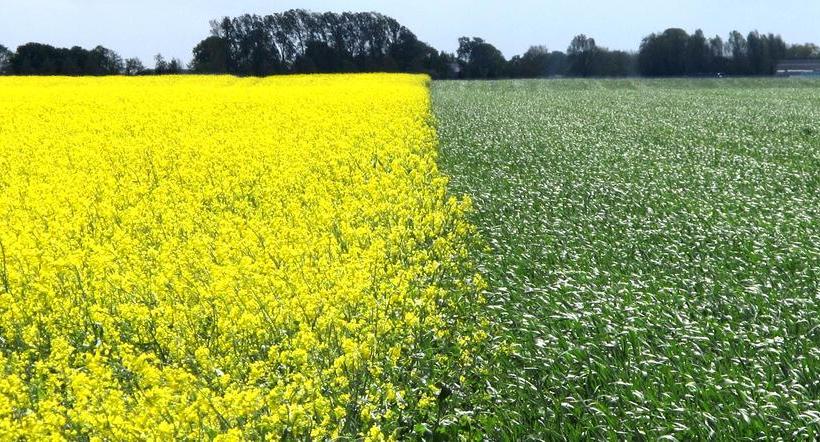 Albergue Stayokay De Esborg Scheemda 10