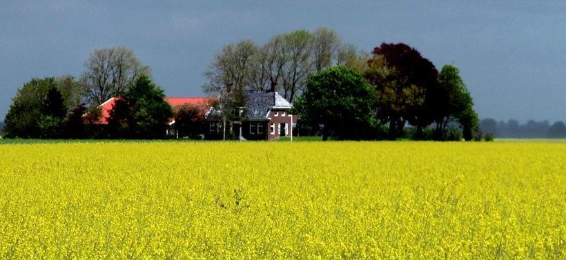 Albergue Stayokay De Esborg Scheemda 11