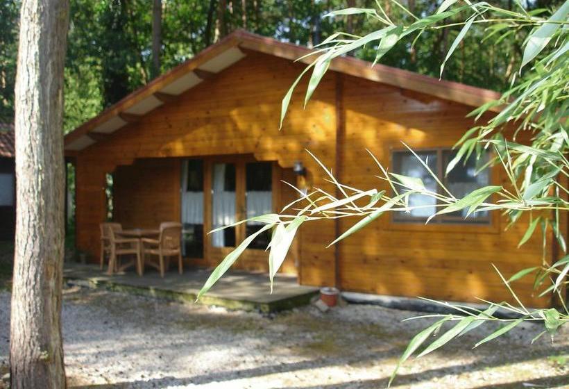 Motel Bungalow& Chaletpark De Brenkberg