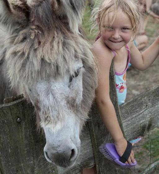 Bed And Breakfast Annen 17