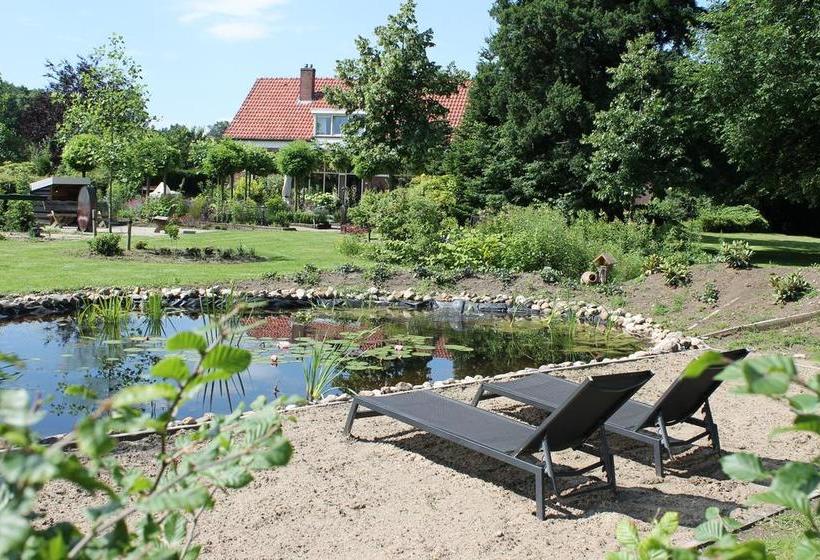 Hotel B&b Nieuw Beusink