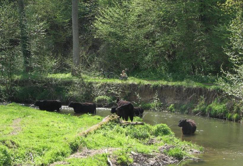 Saga Bed And Breakfast 4