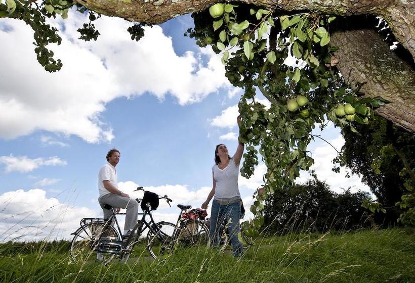 Hôtel De Twee Linden 11