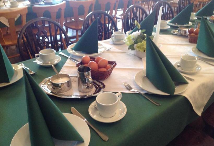 Hotel De Drie Linden 16