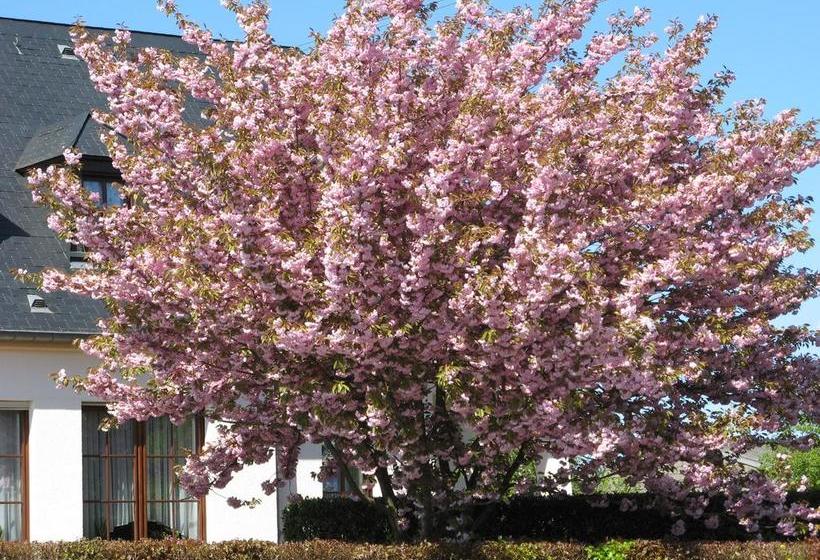 Hôtel Auberge Eislecker Stuff 15