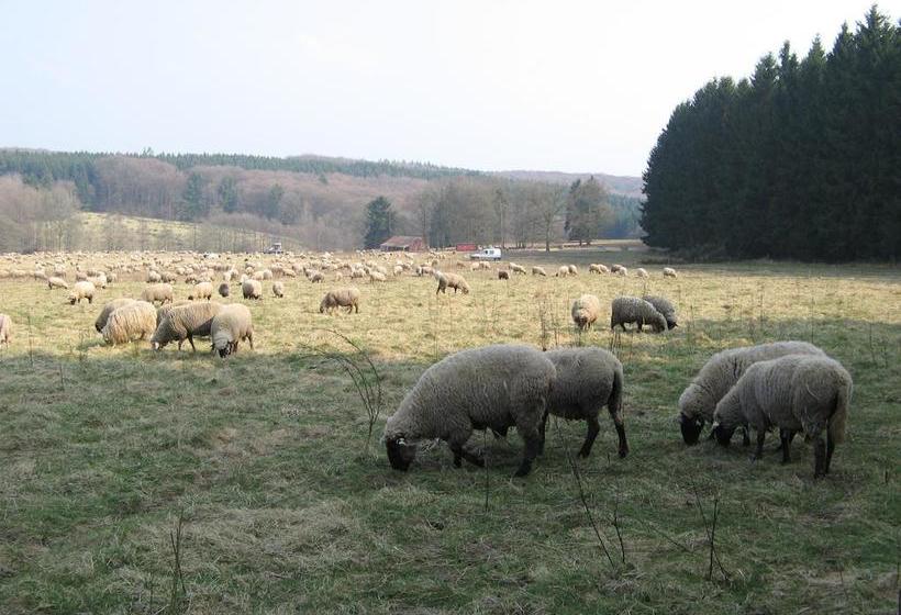 Hôtel Auberge Eislecker Stuff 17