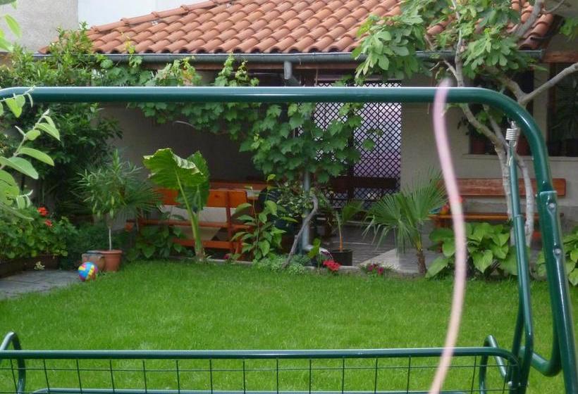 Hotel Coral Family 13