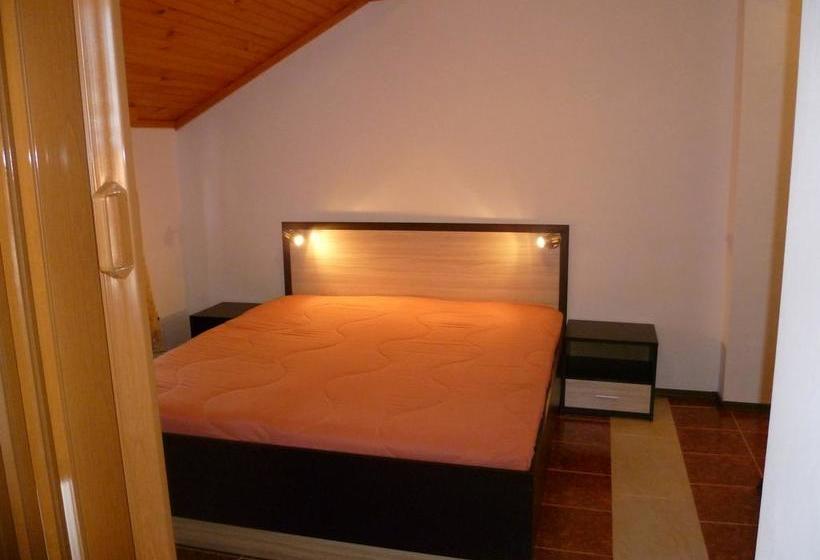 Hotel Coral Family 16