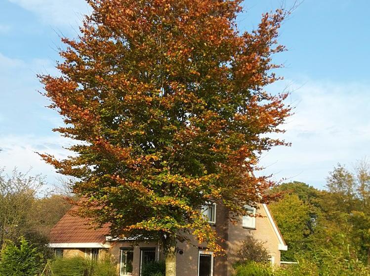 Bed and Breakfast Bed En Breakfast Rust En Ruimte 12