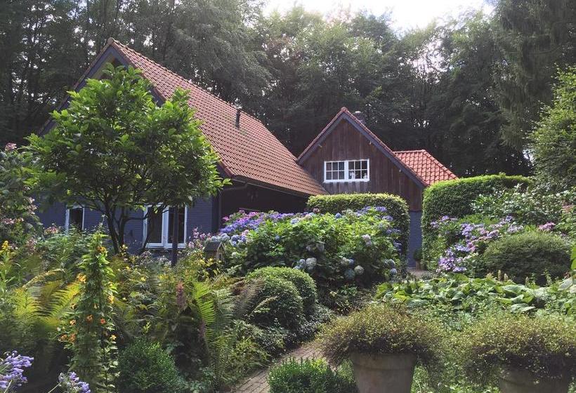 Bed and Breakfast T Huis Ten Boss