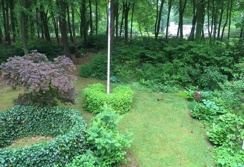 Bed and Breakfast T Huis Ten Boss 11