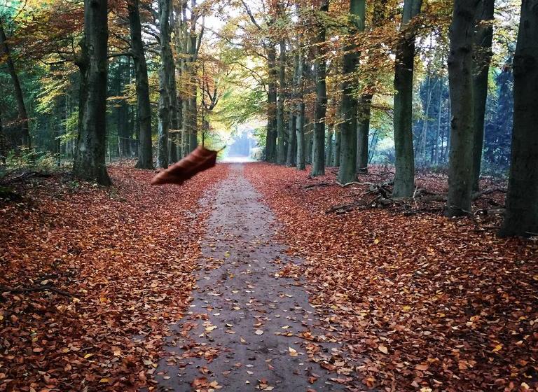 Bed and Breakfast T Huis Ten Boss 12