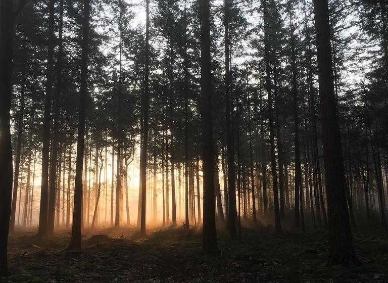 Bed and Breakfast T Huis Ten Boss 13