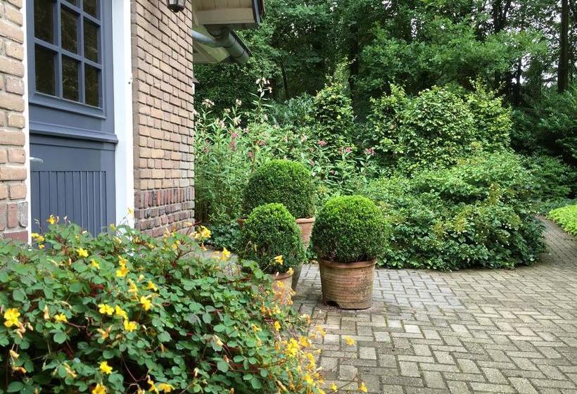 Bed and Breakfast T Huis Ten Boss 2